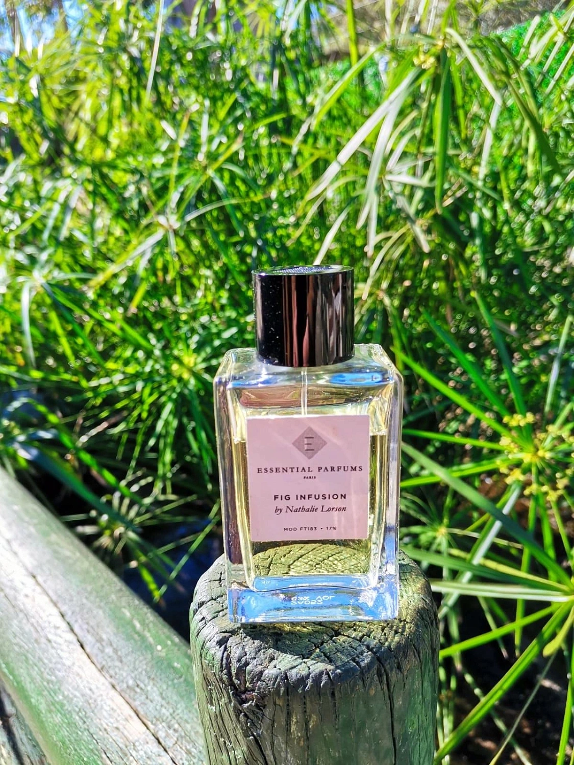 Essential Parfums Fig Infusion