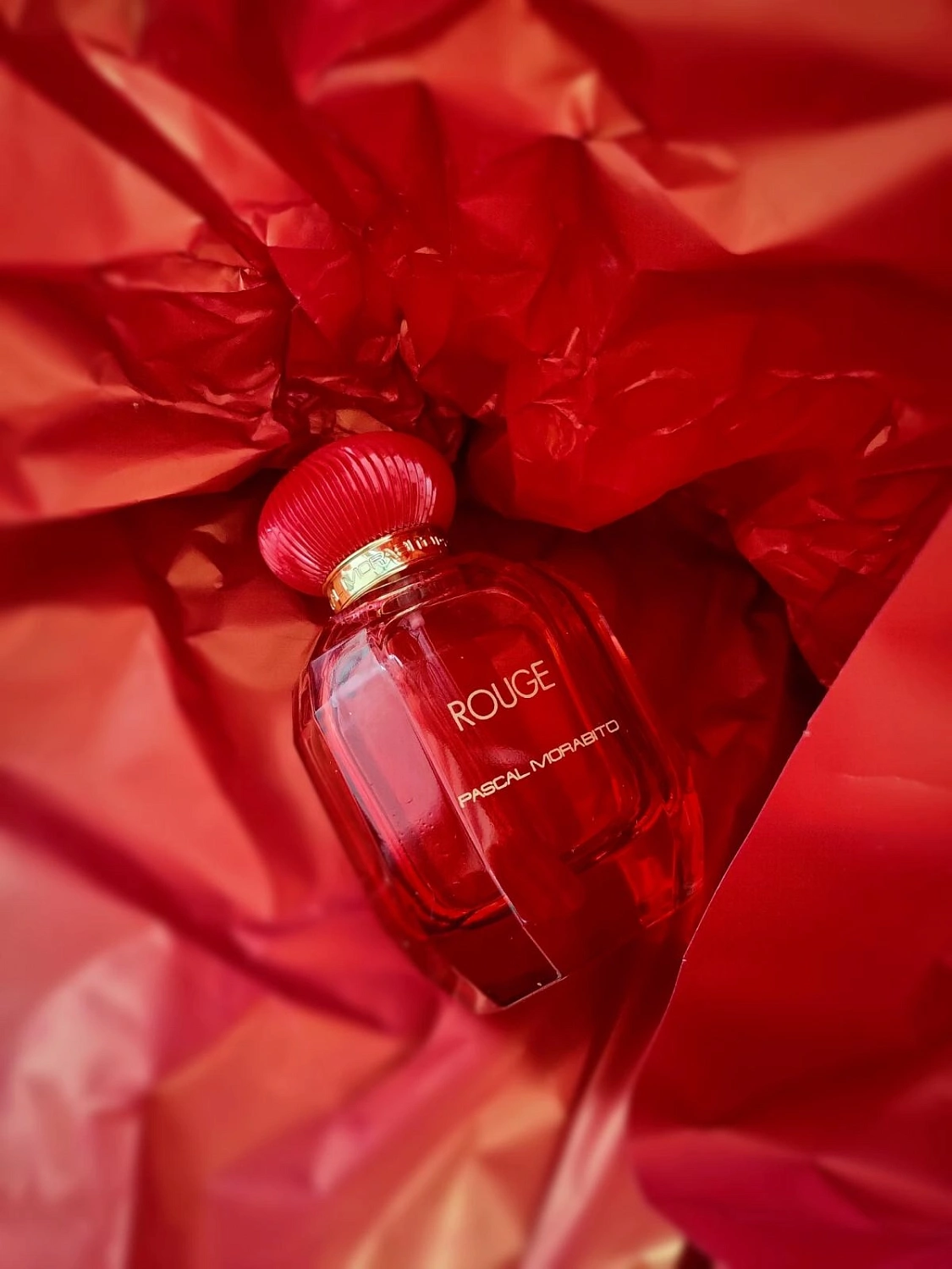 Pascal Morabito Rouge