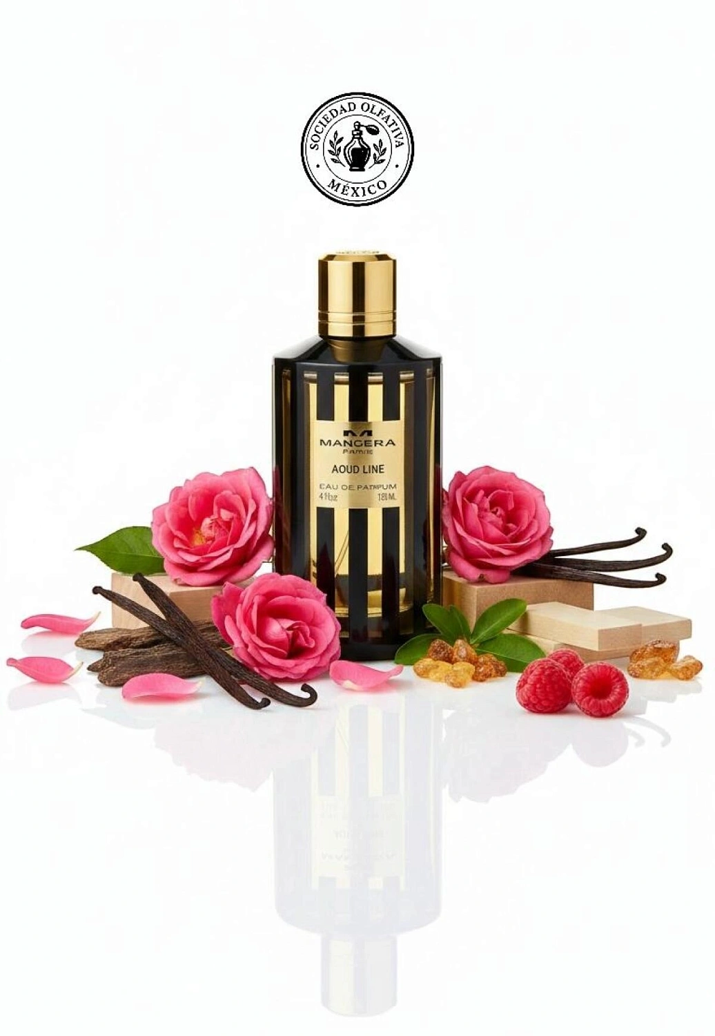 Mancera Aoud Line