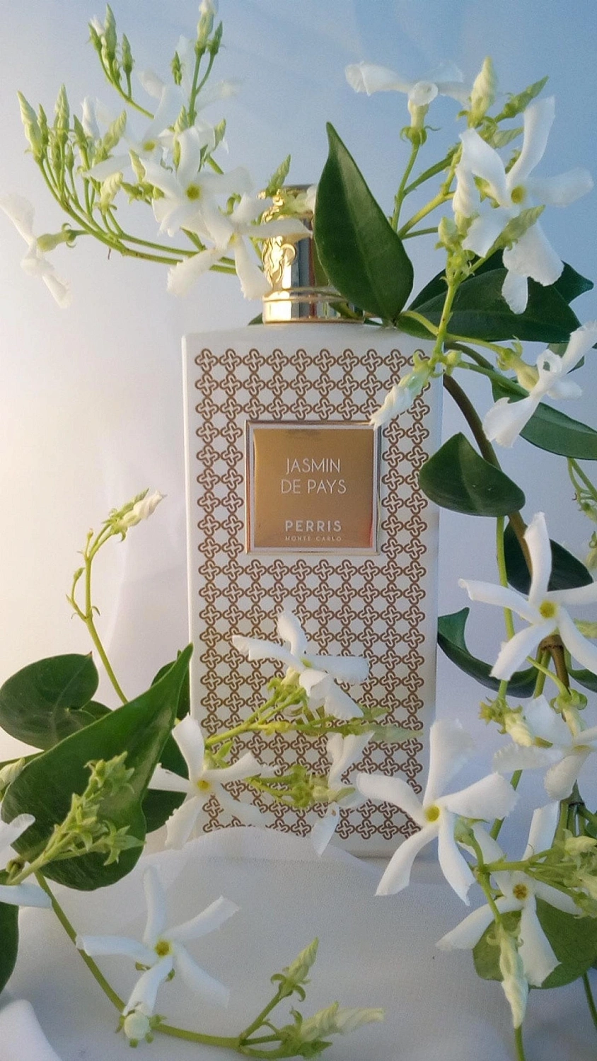 Perris Monte Carlo Jasmin De Pays