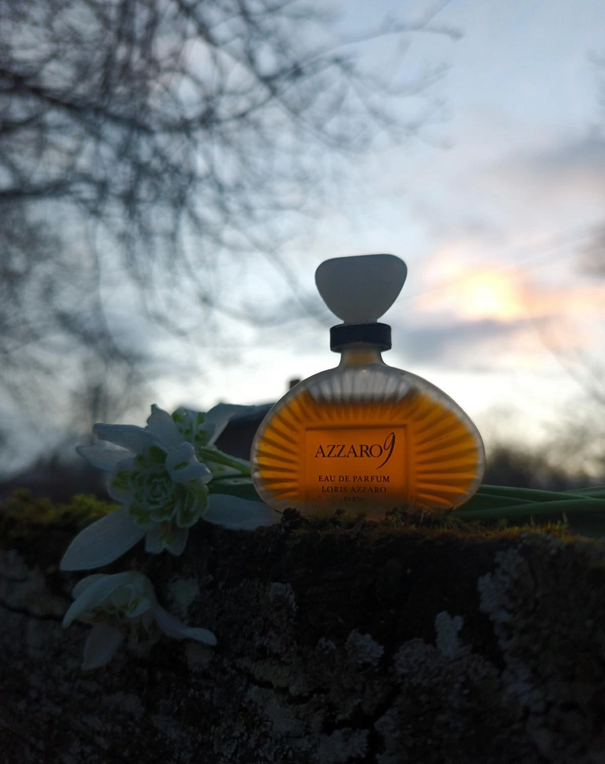 Azzaro 9