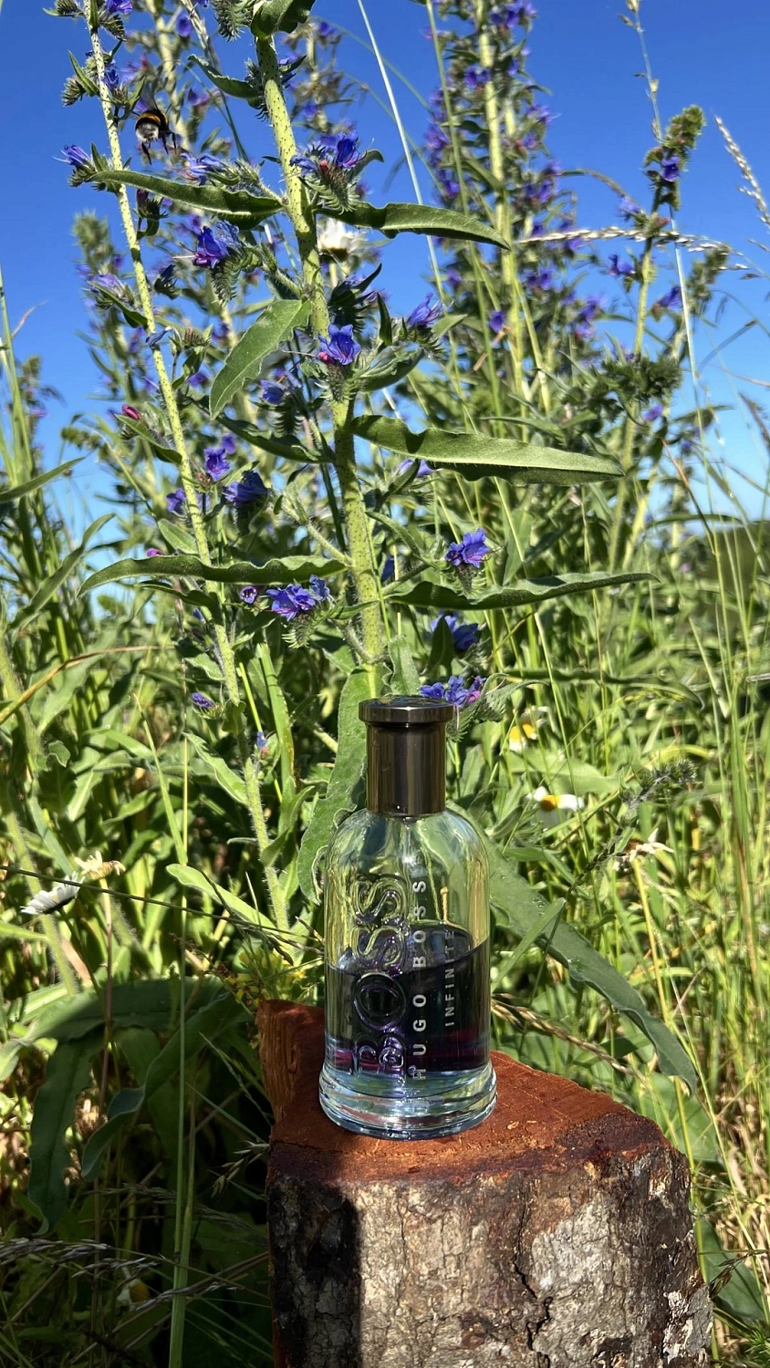 Hugo Boss Bottled Infinite