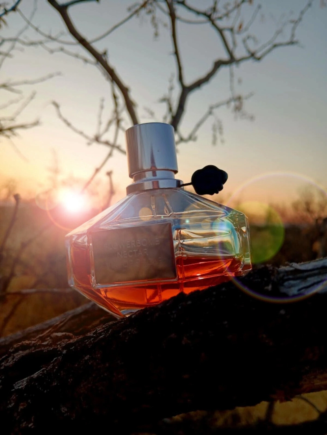 Viktor & Rolf Flowerbomb Nectar