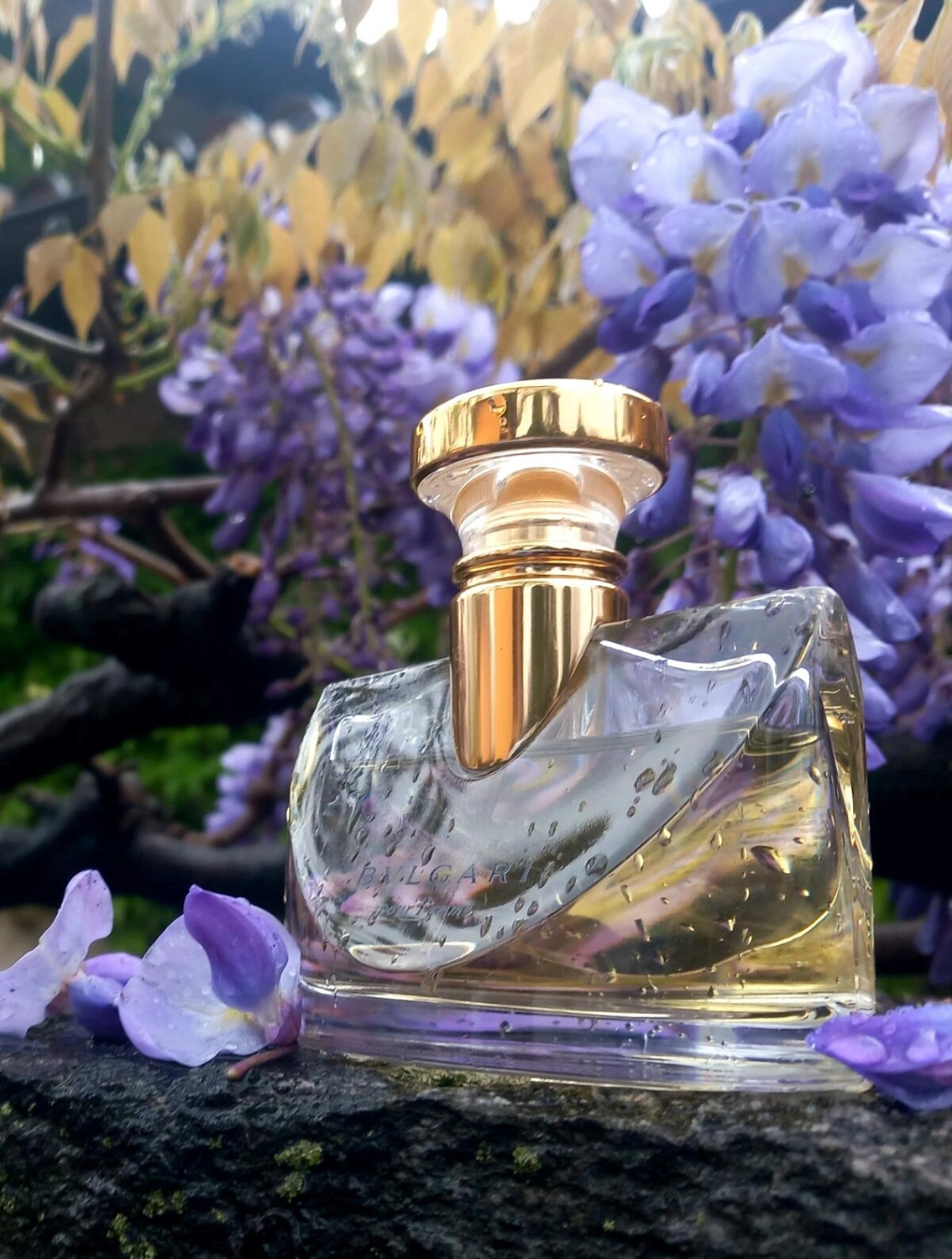 Bvlgari Pour Femme