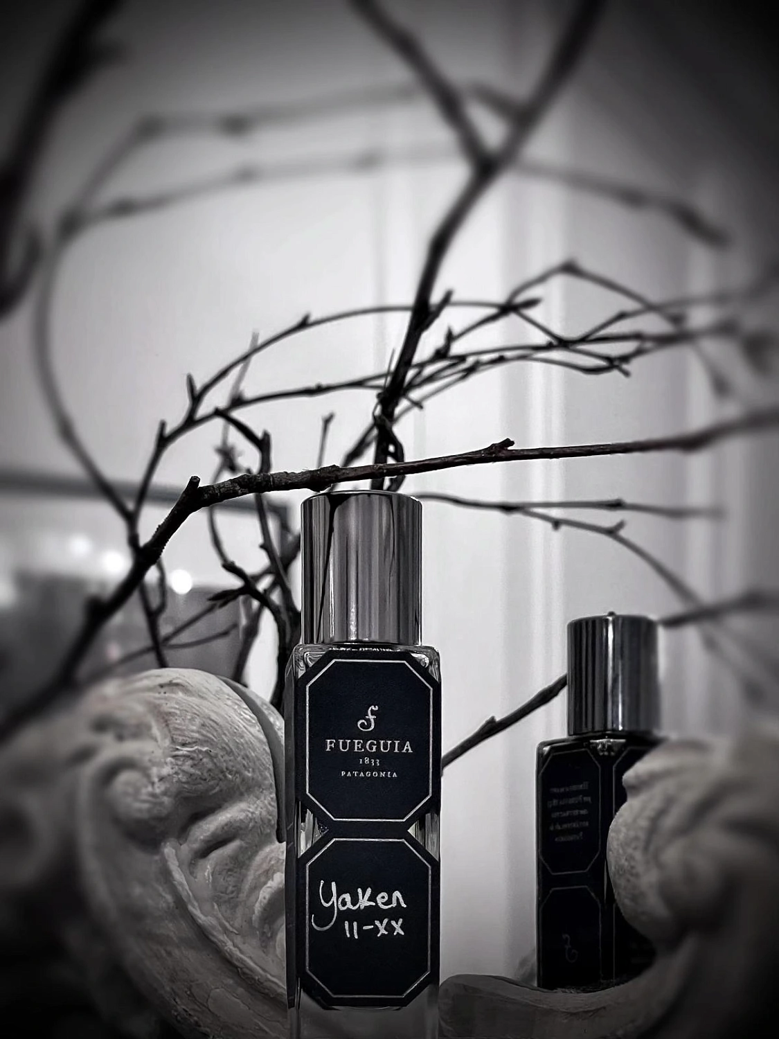 Fueguia 1833 Yaken