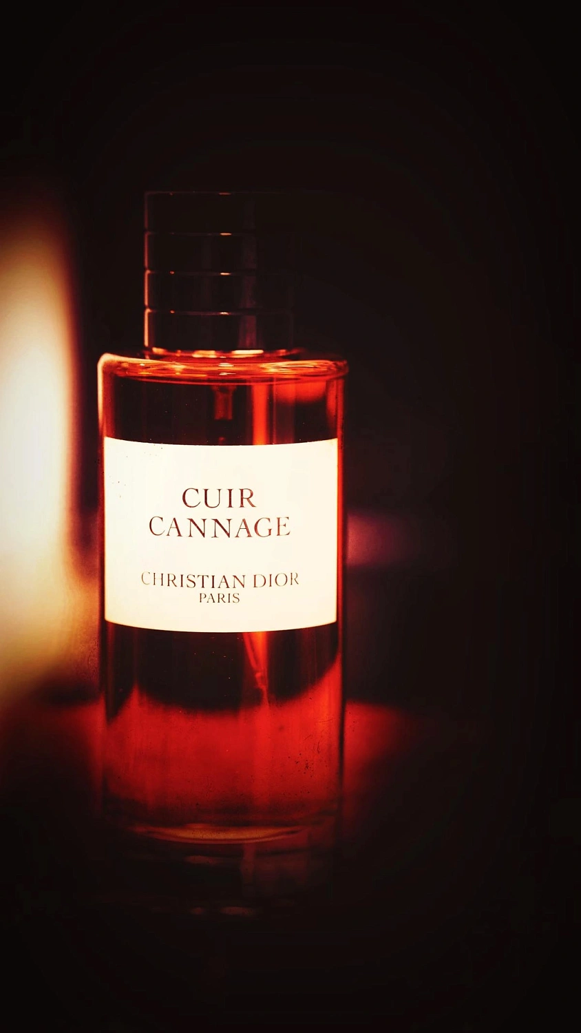 Christian Dior Cuir Cannage