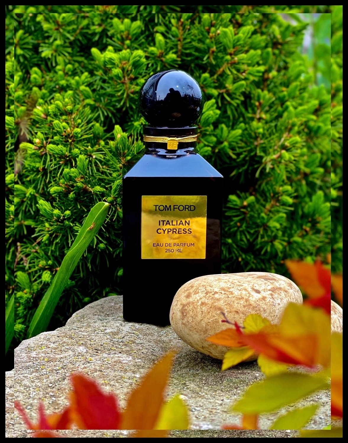 Tom Ford Italian Cypress