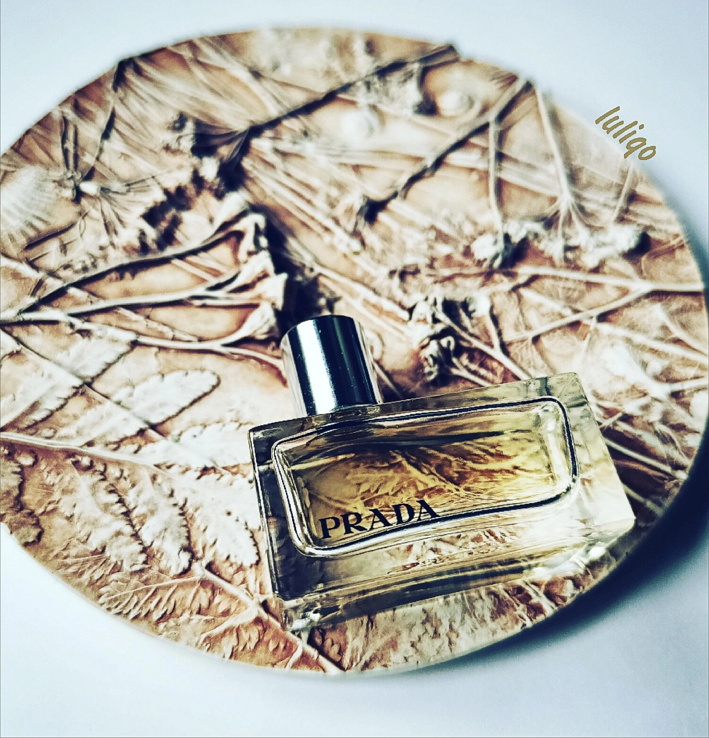 Prada Tendre