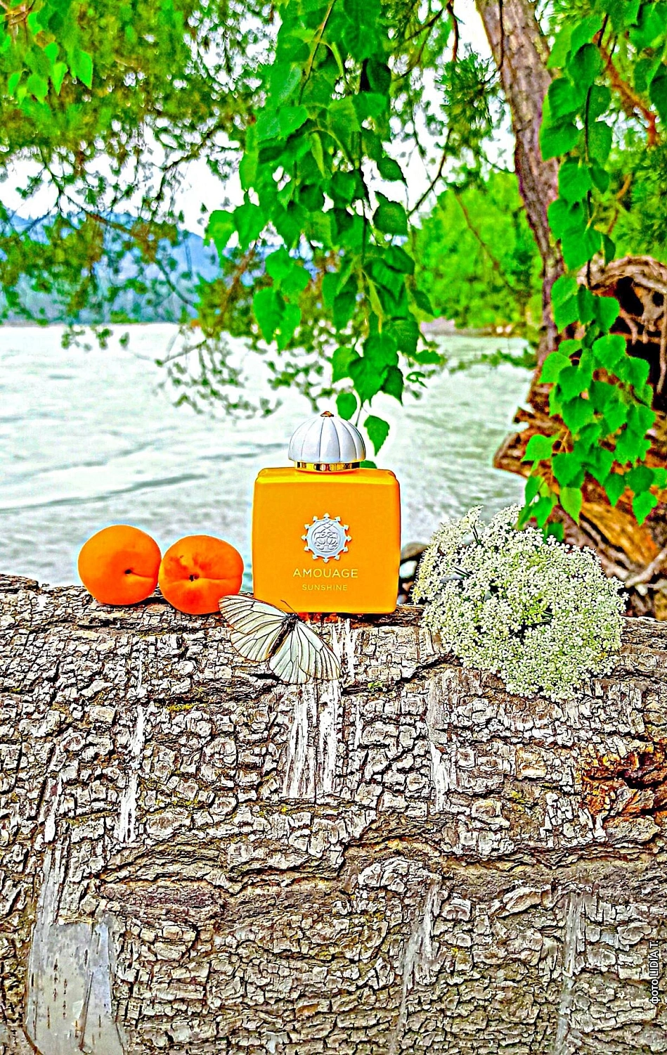 Amouage Sunshine