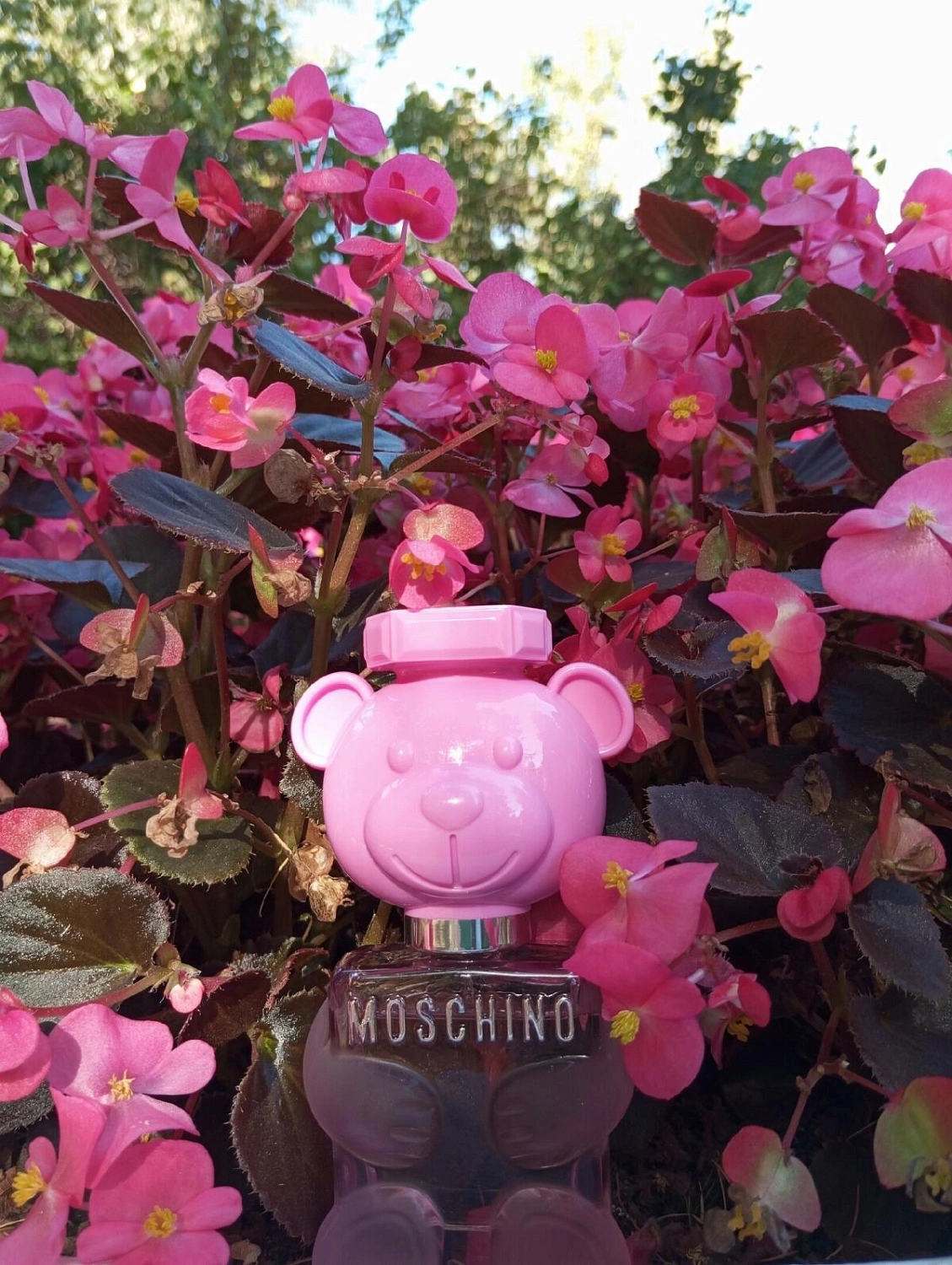 Moschino Toy 2 Bubble Gum