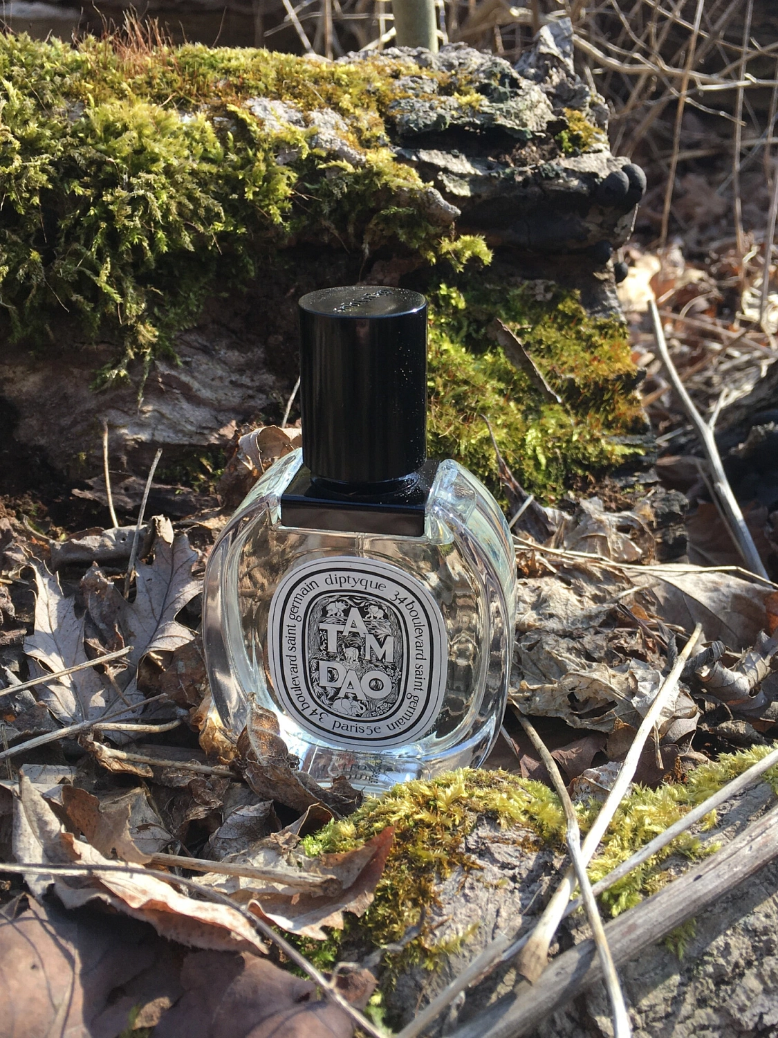 Diptyque Tam Dao