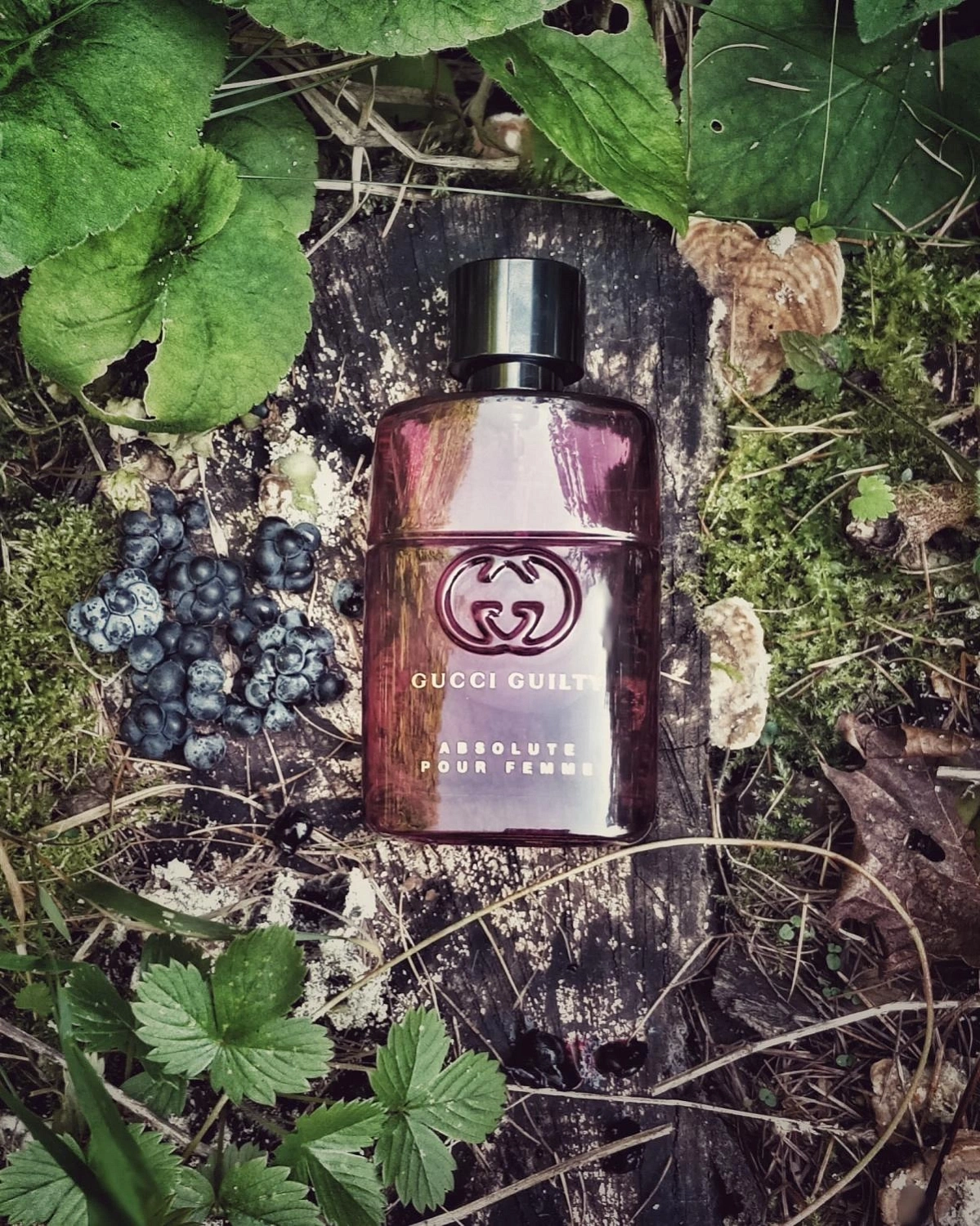 Gucci Guilty Absolute pour Femme