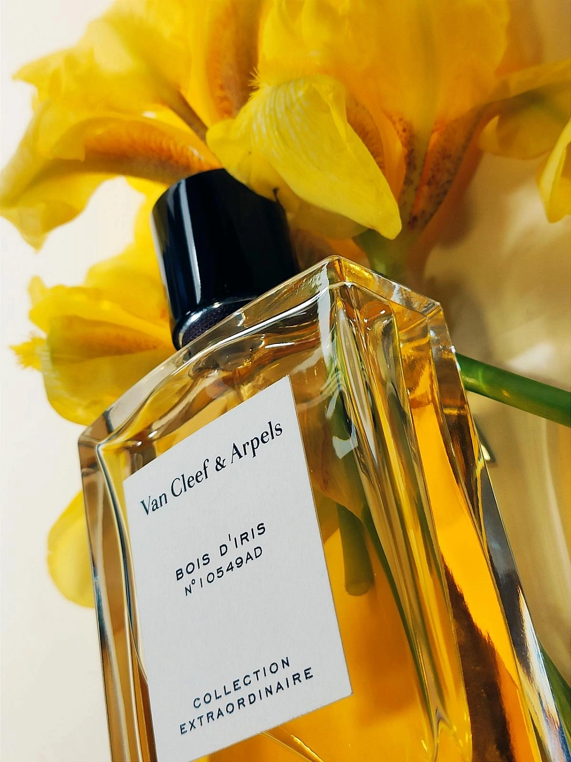 Van Cleef & Arpels Collection Extraordinaire Bois d'Iris