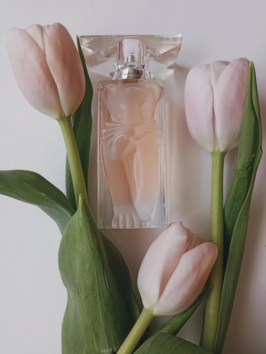 Salvador Dalí La Belle et l'Ocelot Eau de Toilette