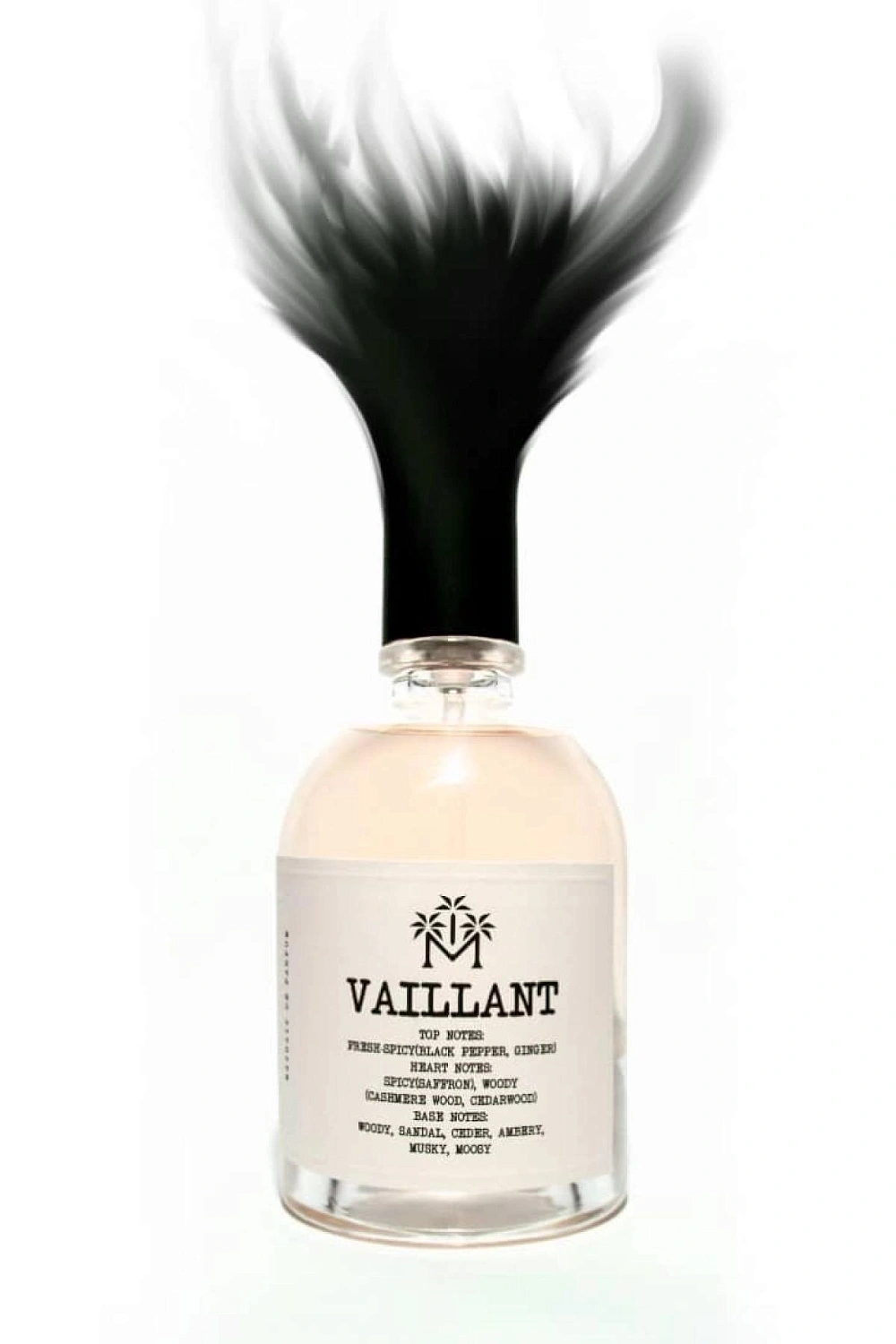 Moudon Vaillant