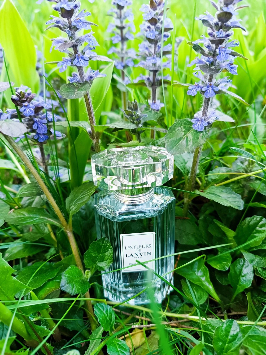 Lanvin Blue Orchid