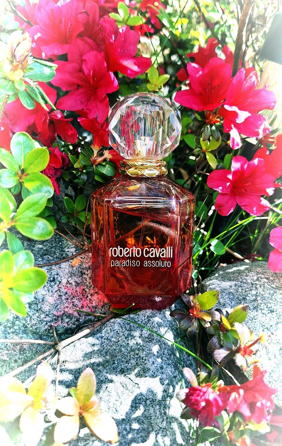 Roberto Cavalli Paradiso Assoluto