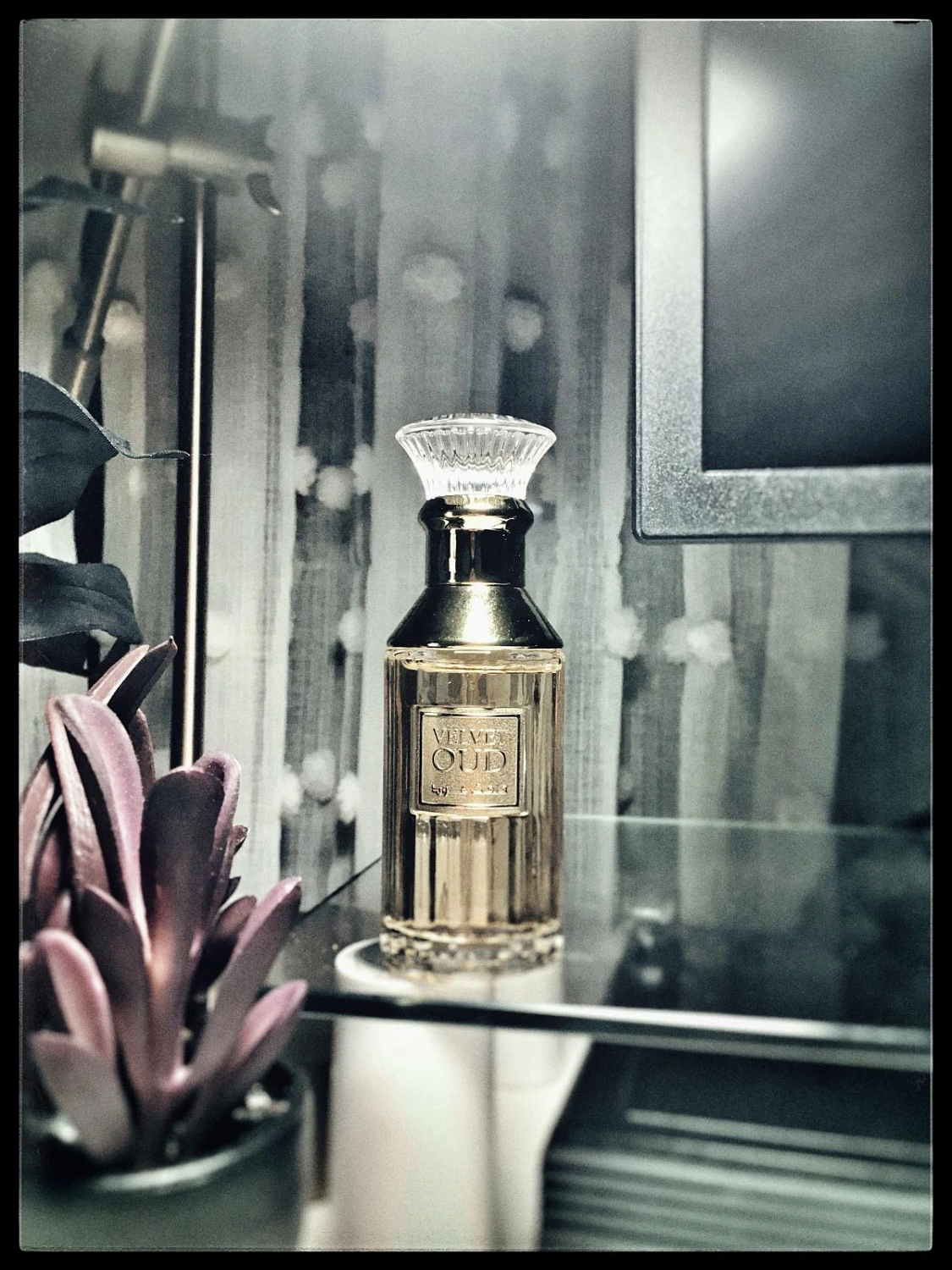 Lattafa Velvet Oud