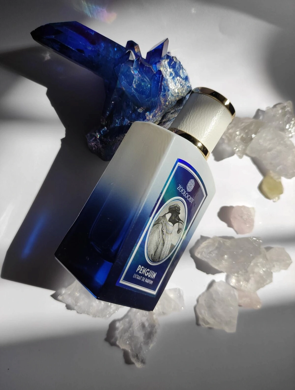 Zoologist Perfumes Penguin