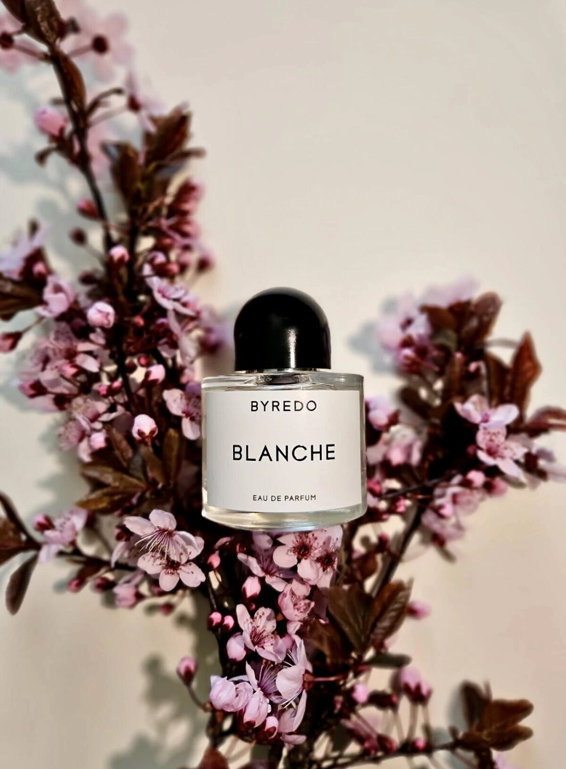 BYREDO Blanche