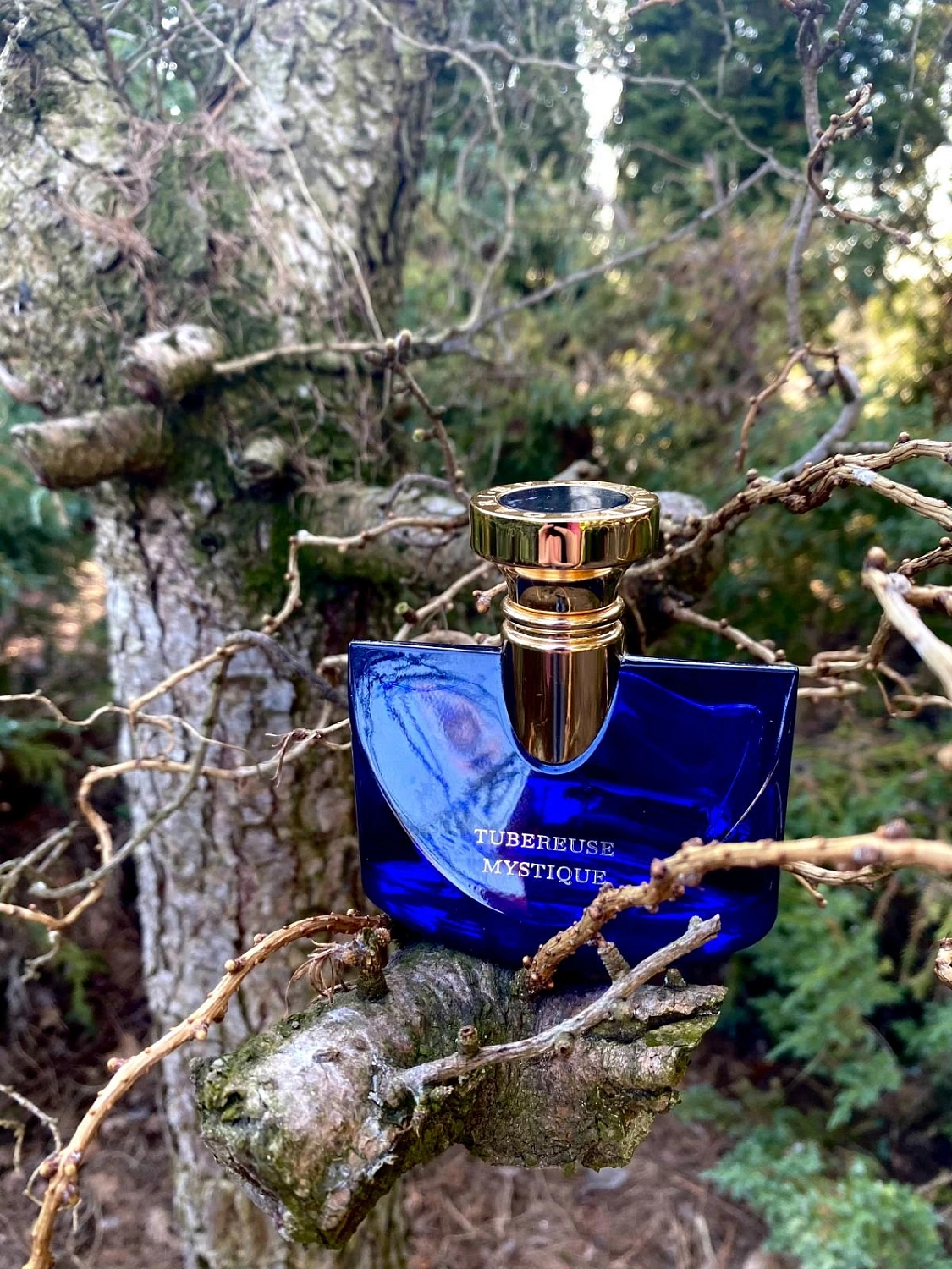 Bvlgari Splendida Tubereuse Mystique