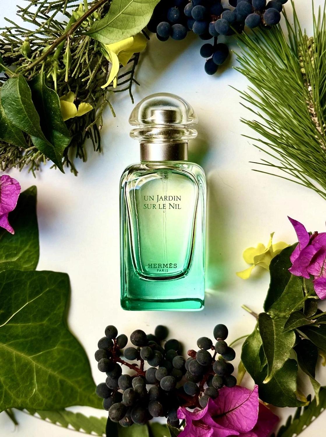 Hermès Un Jardin sur le Nil