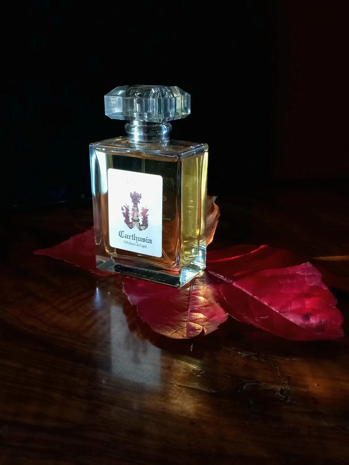 Carthusia Ligea La Sirena