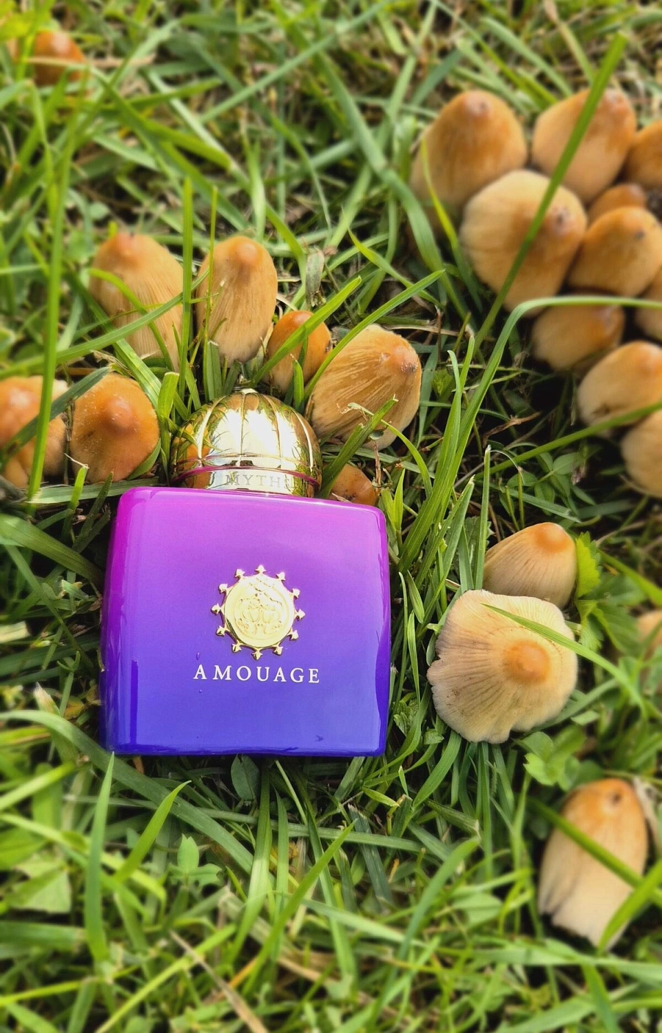 Amouage Myths Woman
