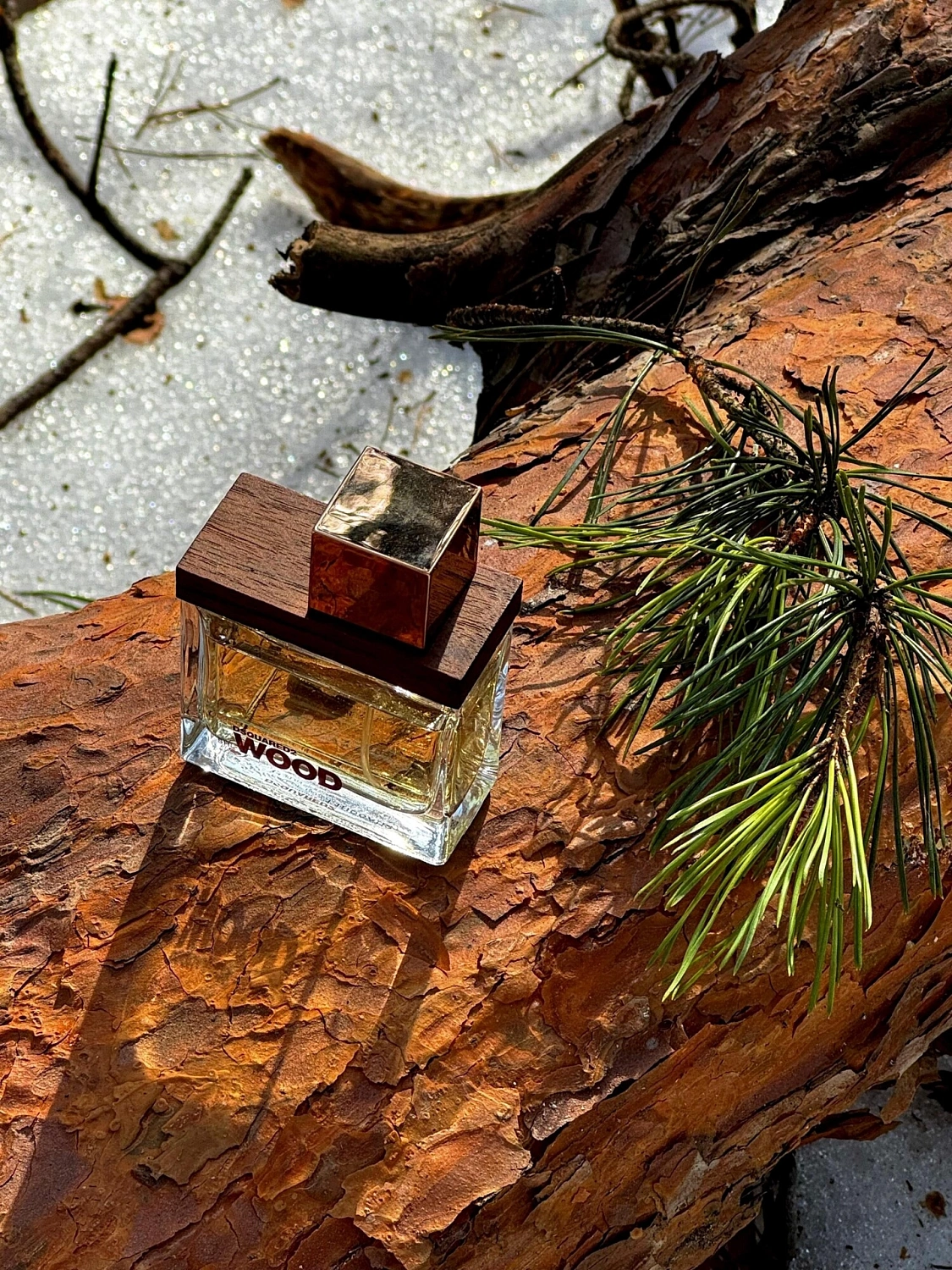 Dsquared2 She Wood
