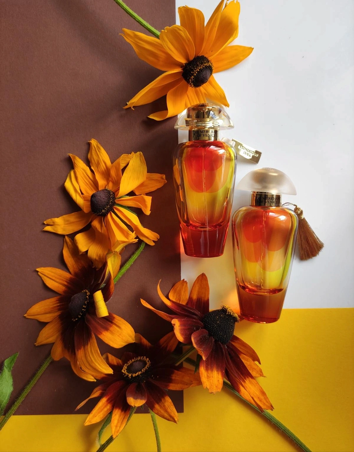 The Merchant of Venice Noble Potion