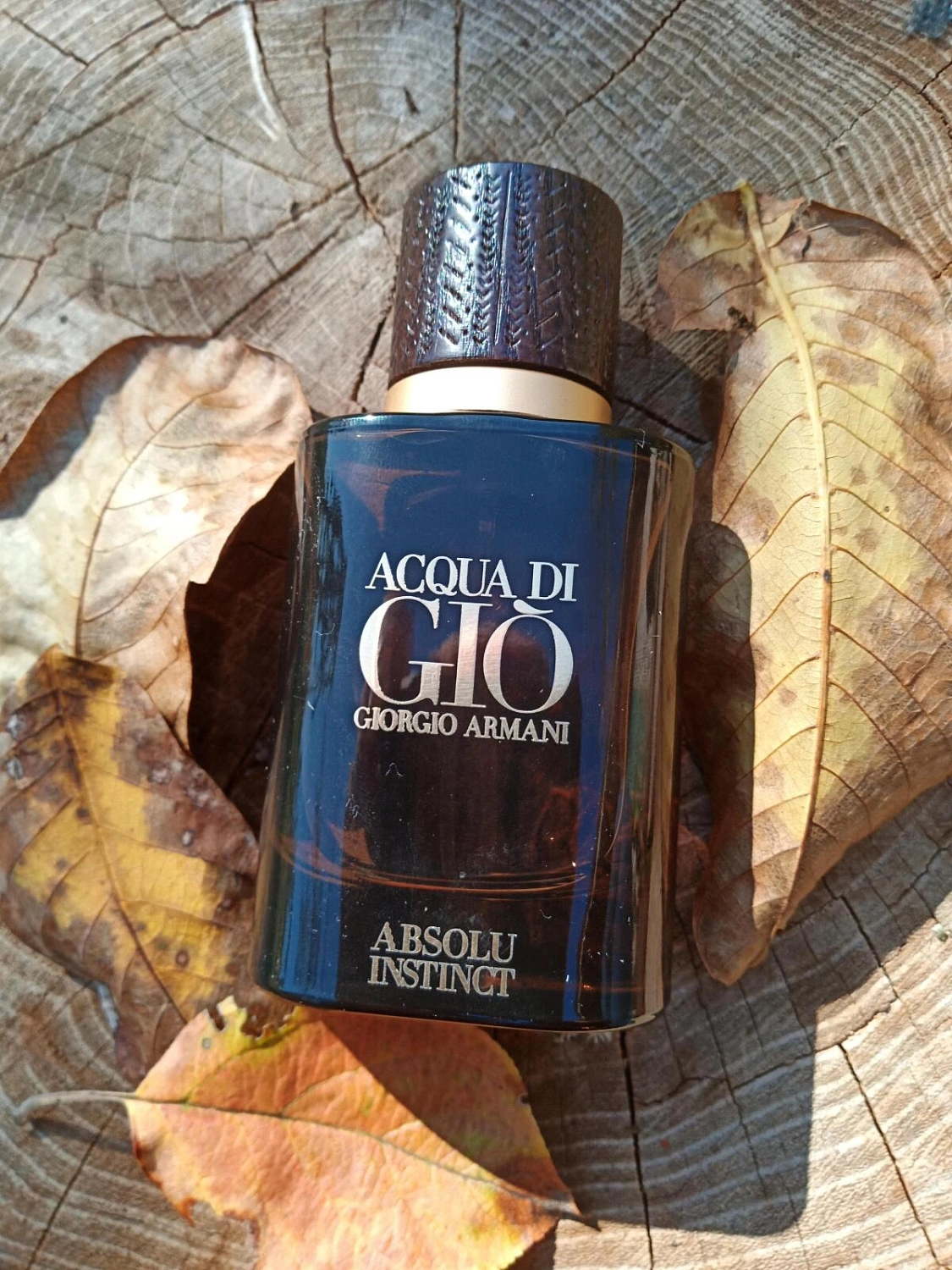 Armani Acqua di Gio Absolu Instinct