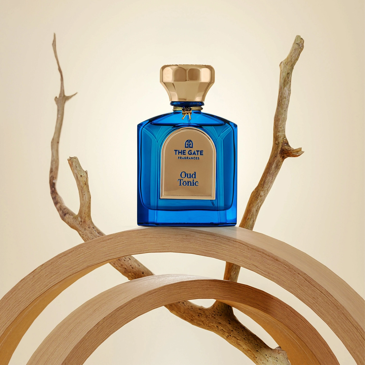The Gate Fragrances Oud Tonic Extrait De Parfum