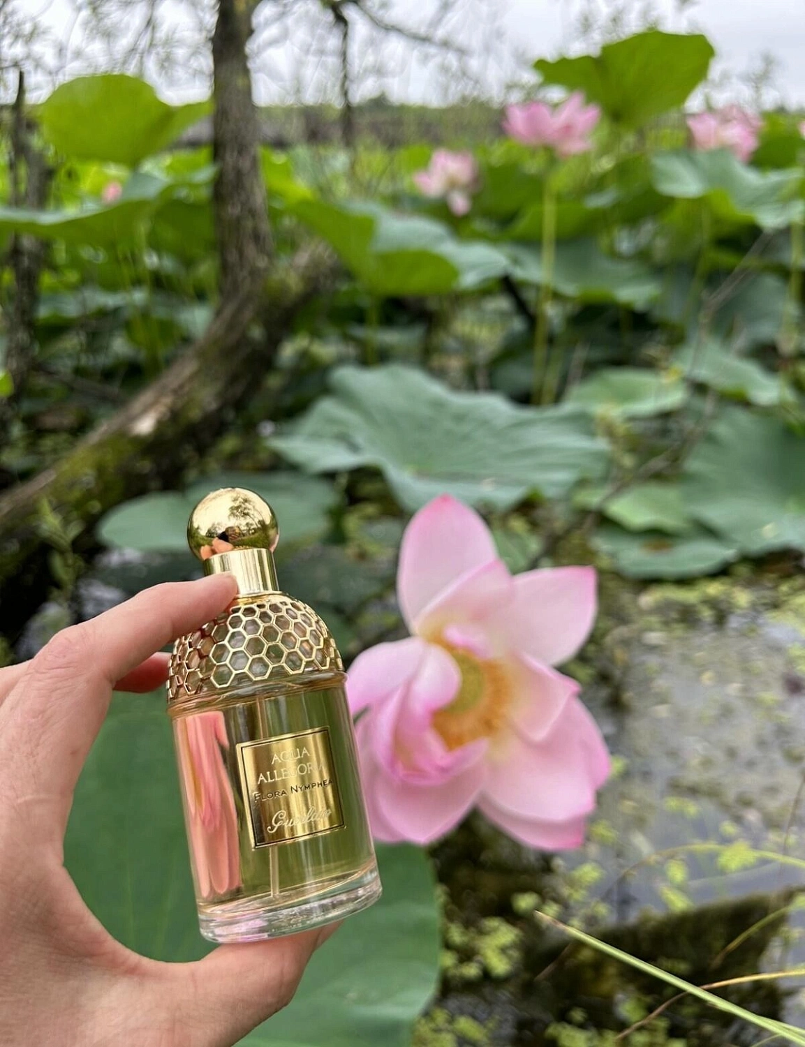 Guerlain Aqua Allegoria Flora Nymphea