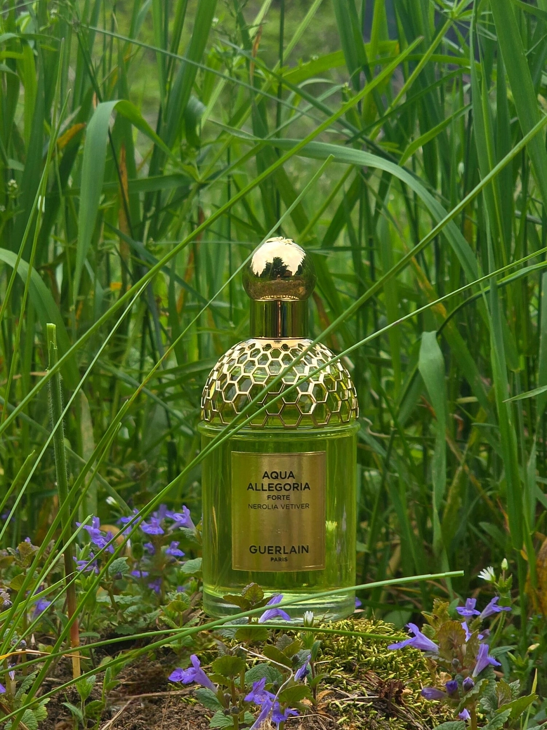 Guerlain Aqua Allegoria Forte Nerolia Vetiver