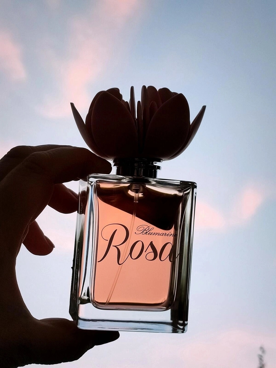 Blumarine Rosa