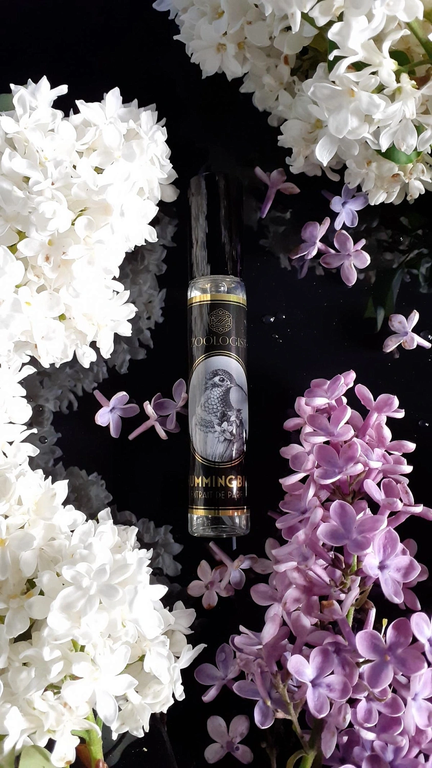 Zoologist Perfumes Hummingbird