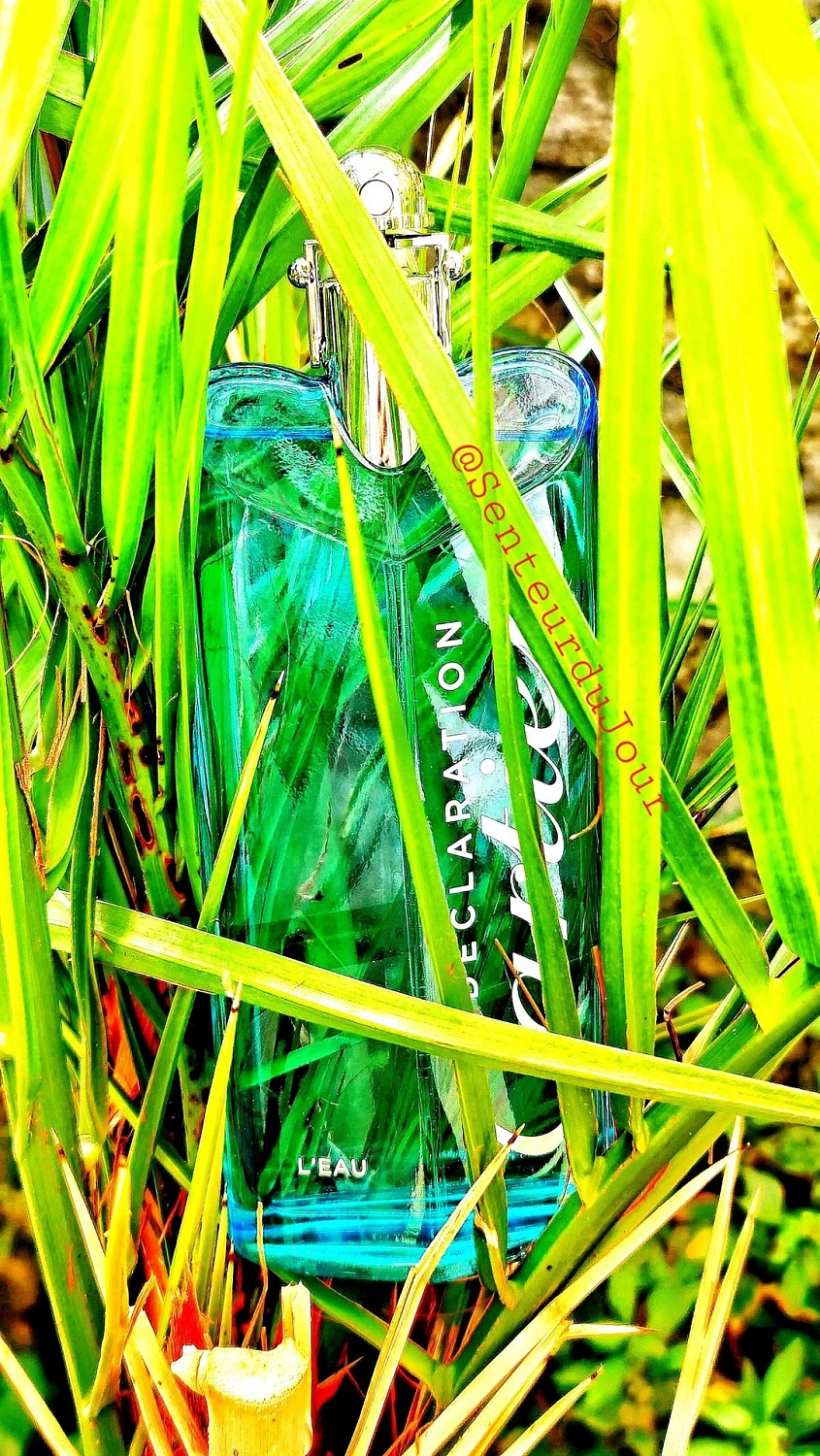 Cartier Declaration L'eau