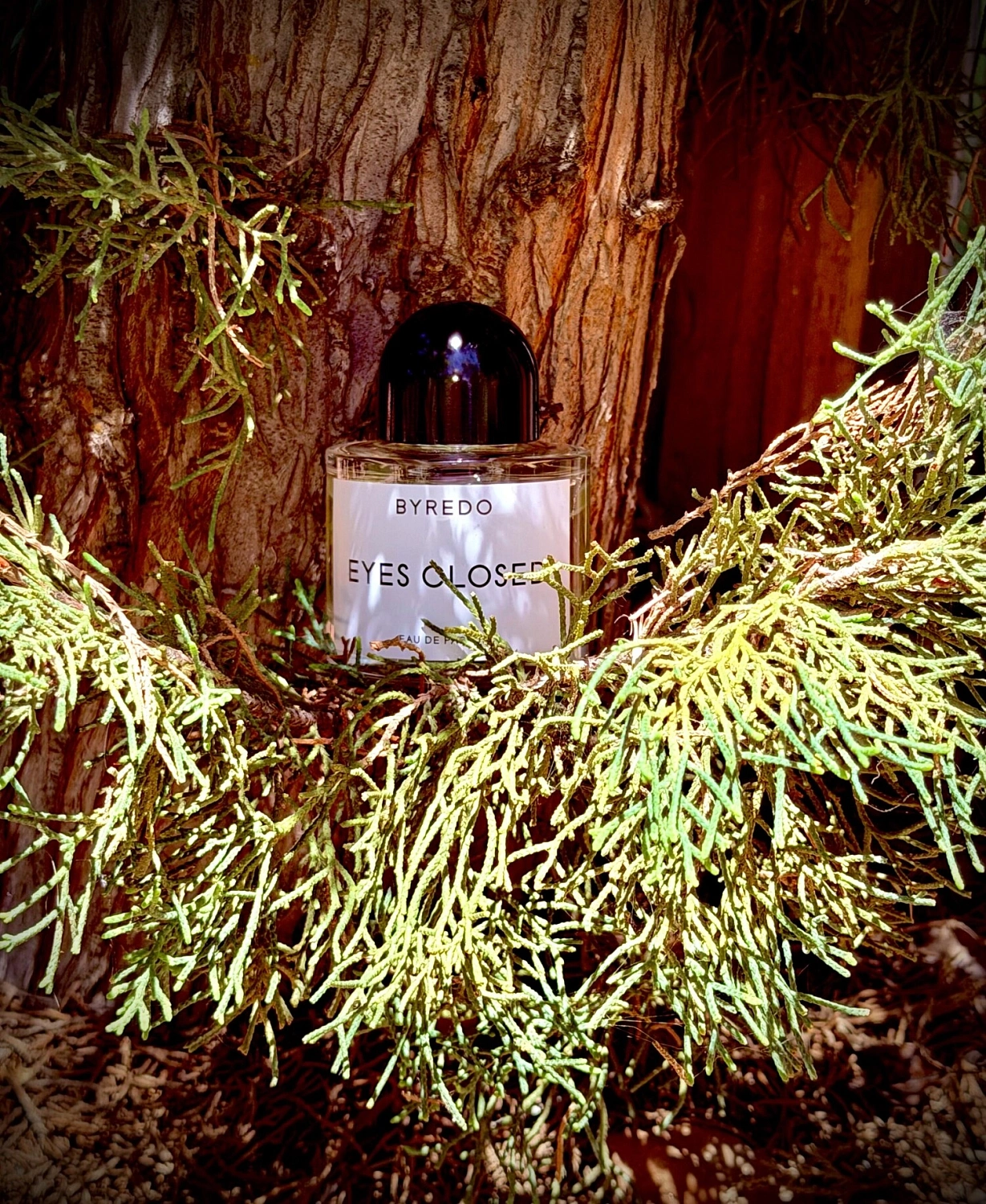 BYREDO Eyes Closed