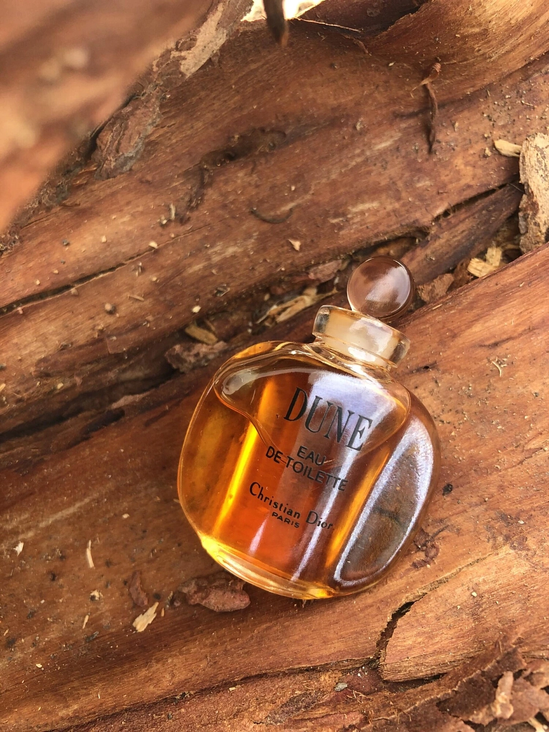 Christian Dior Dune