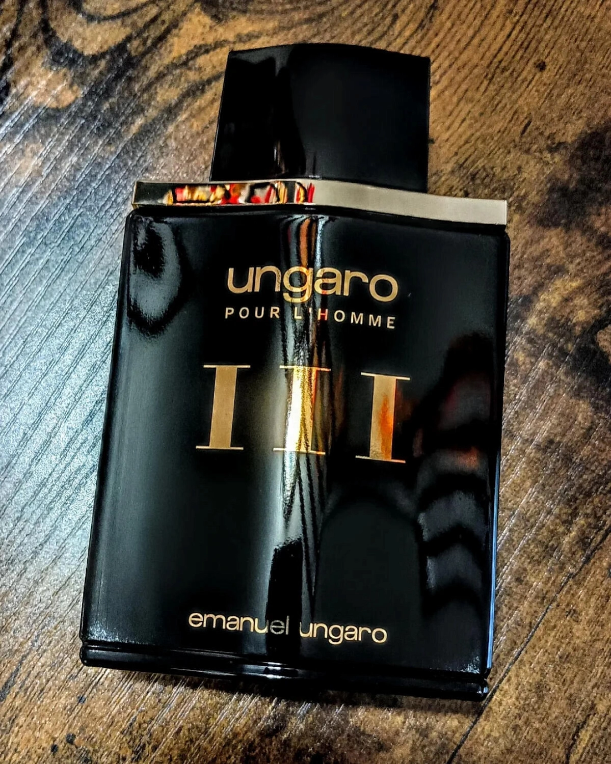 Emanuel Ungaro pour L'Homme III