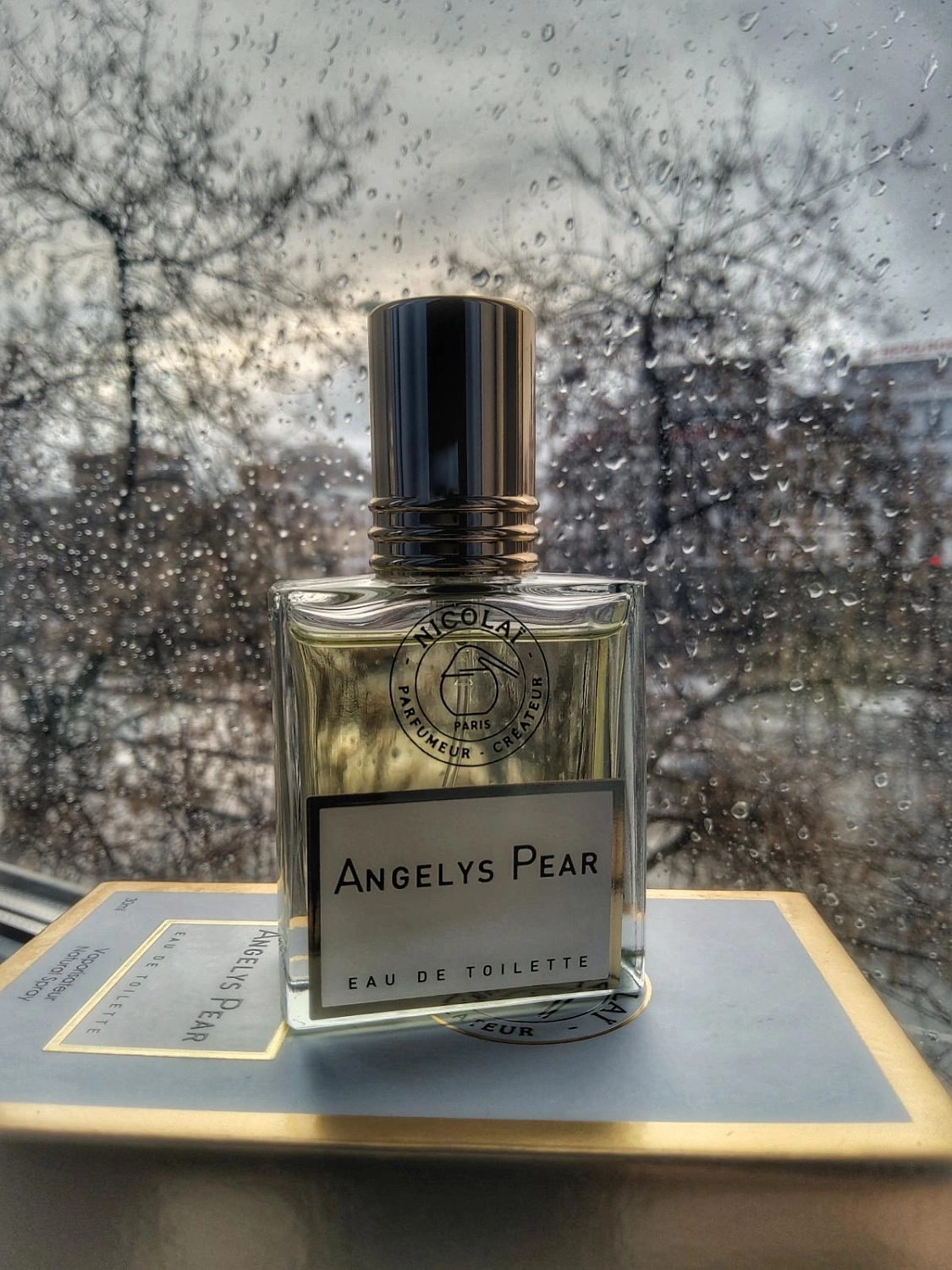 Nicolaï Angelys Pear