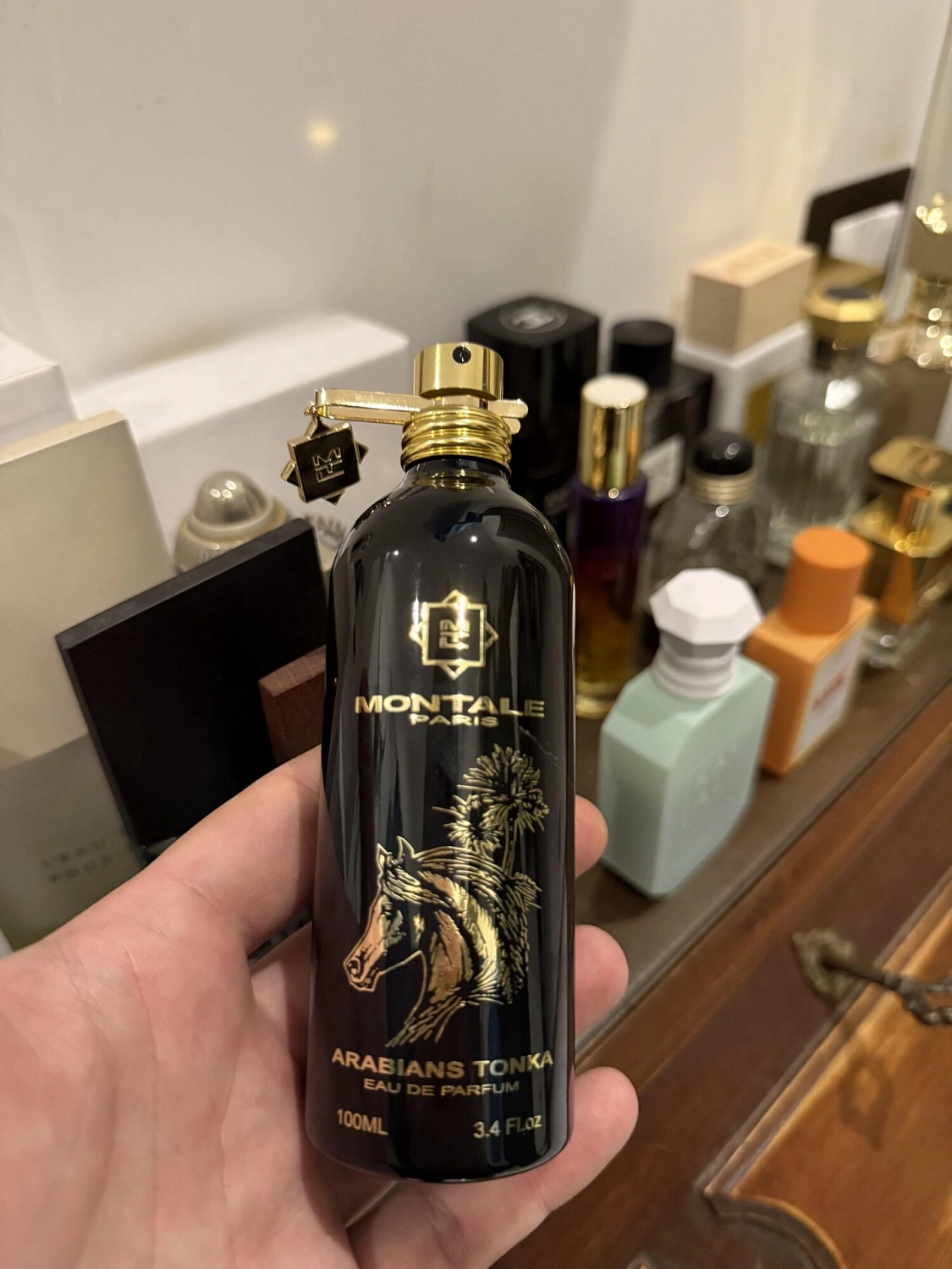 Montale Arabians Tonka