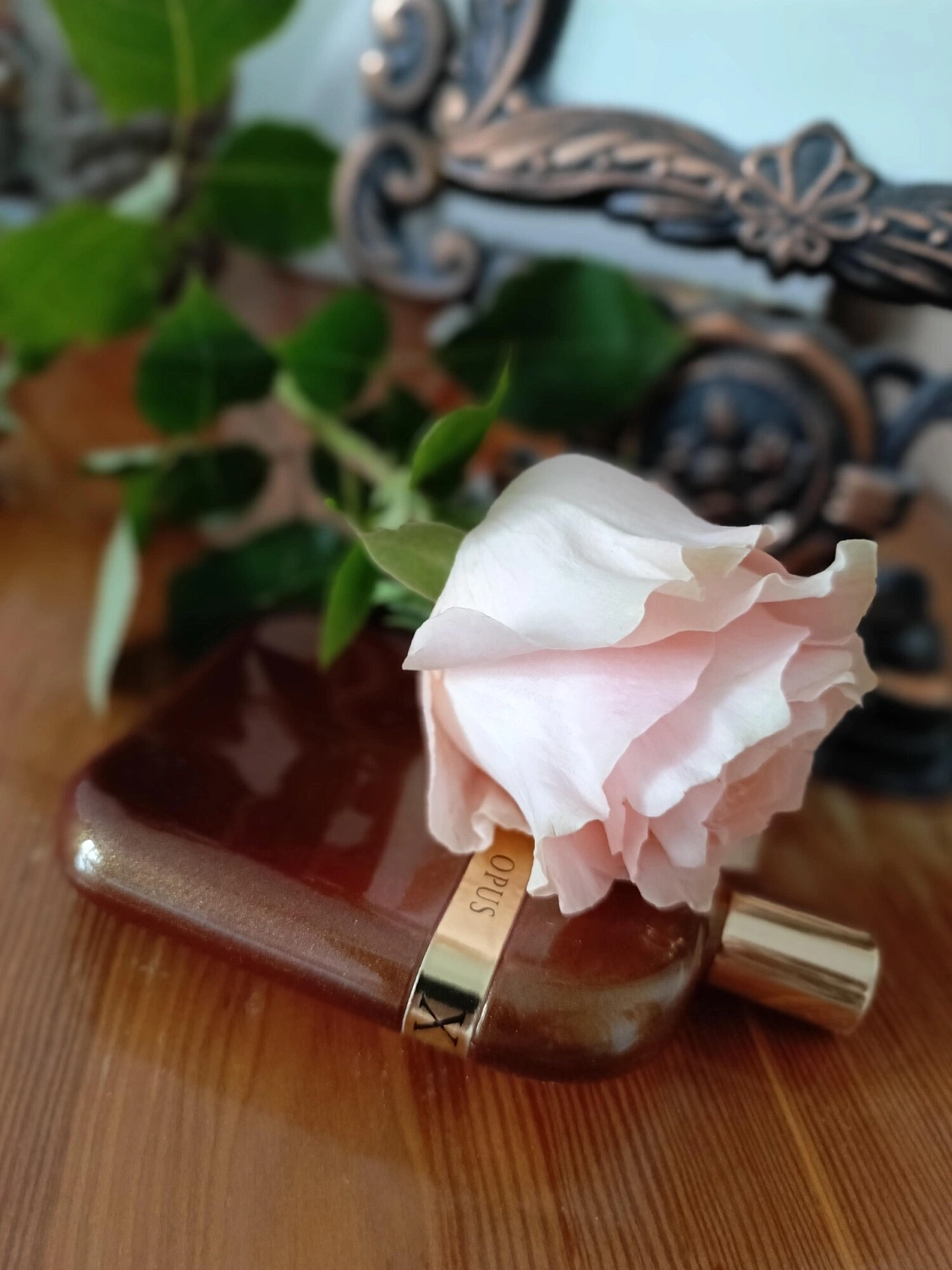 Amouage The Library Collection Opus X