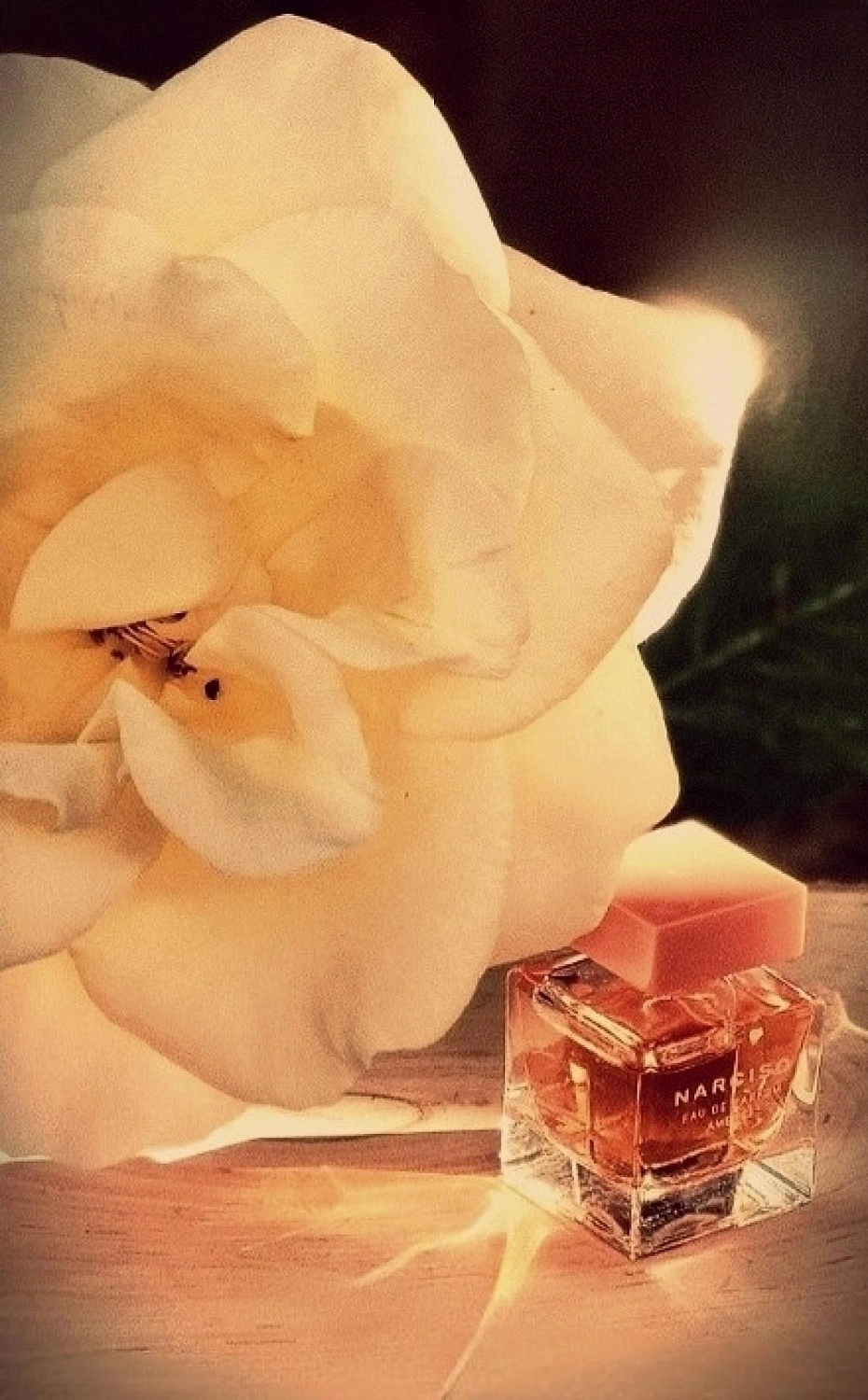 Narciso Rodriguez Narciso Eau de Parfum Ambree