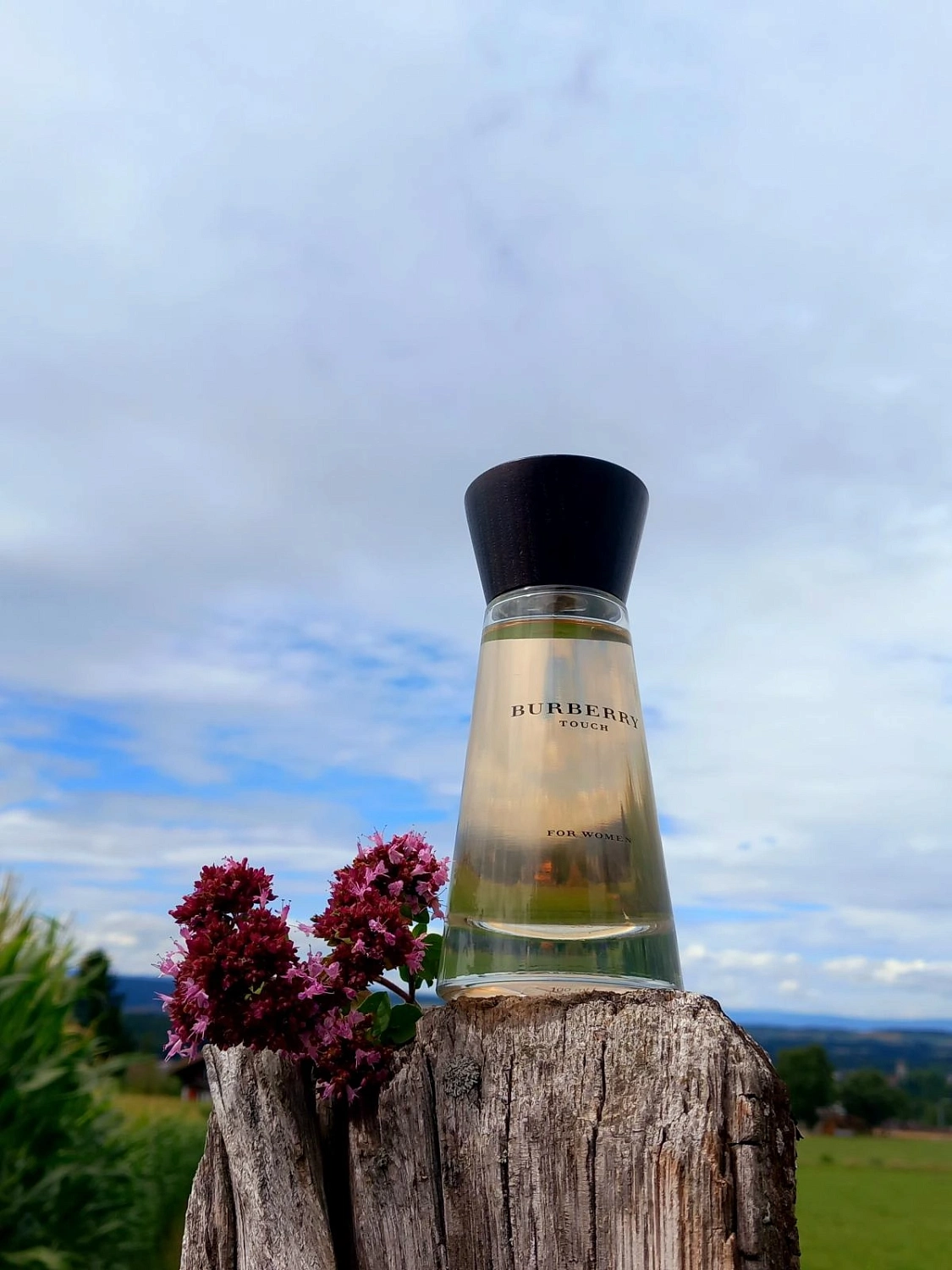 Burberry Touch for Women