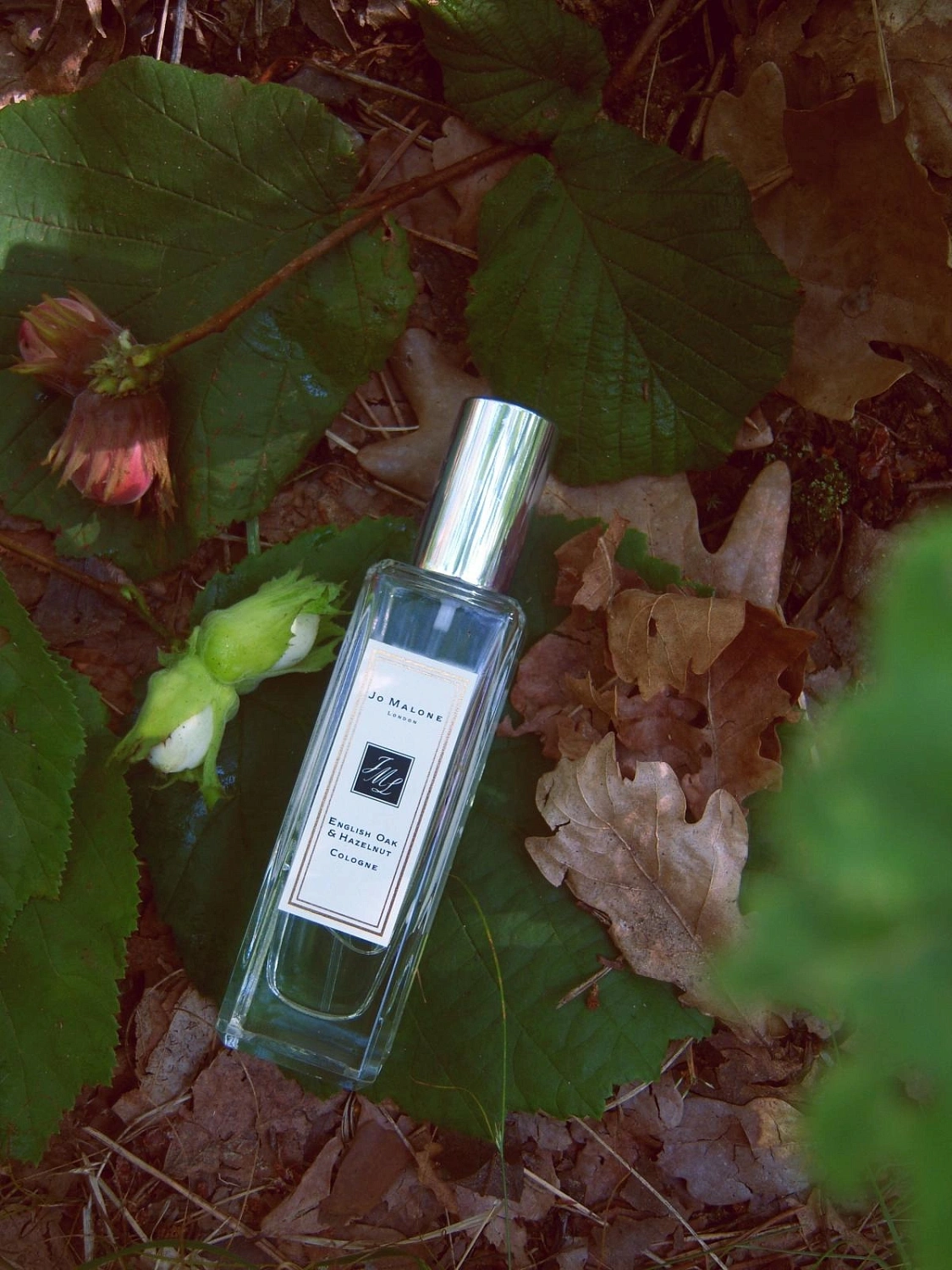 Jo Malone English Oak & Hazelnut
