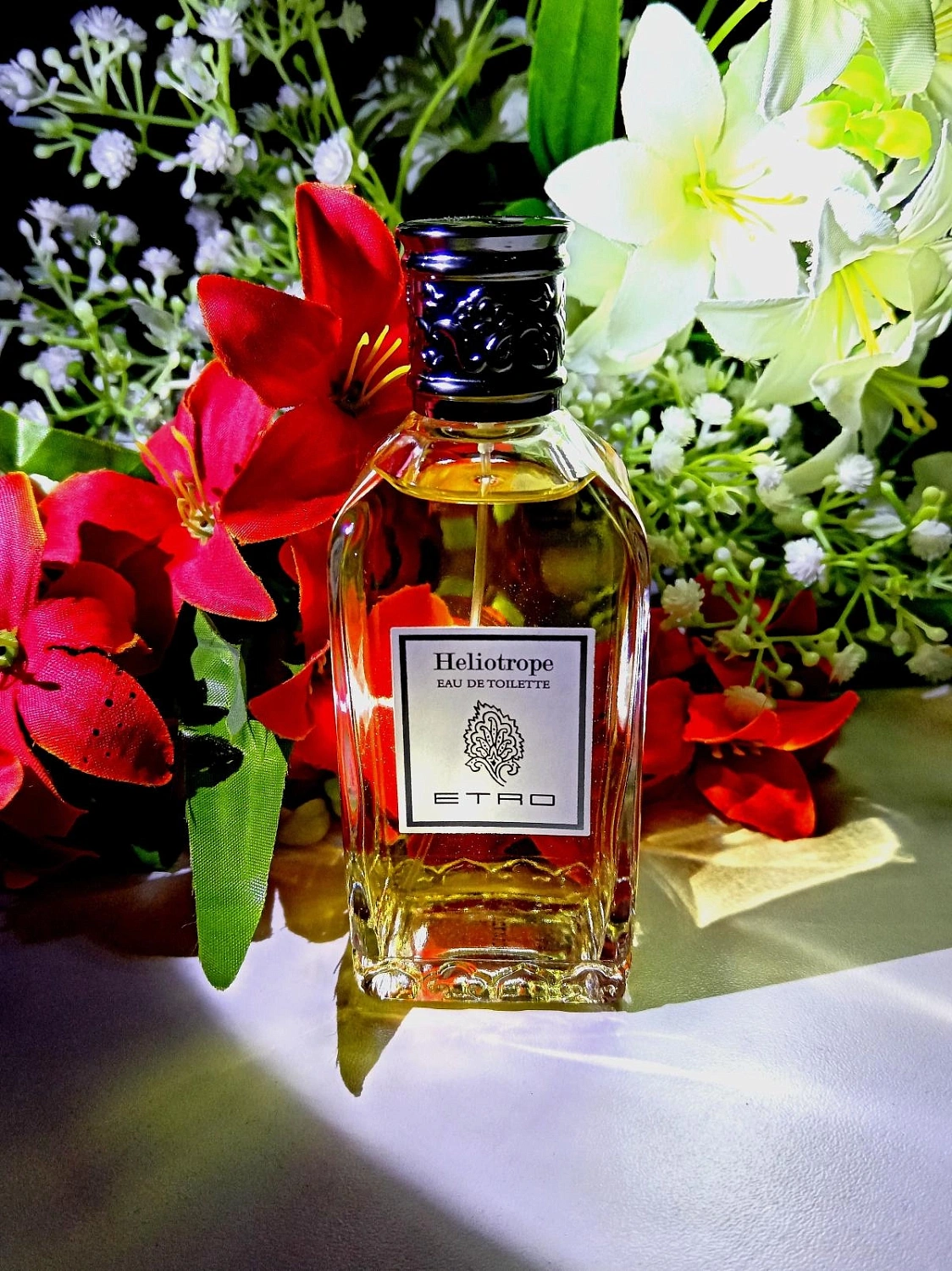 Etro Heliotrope