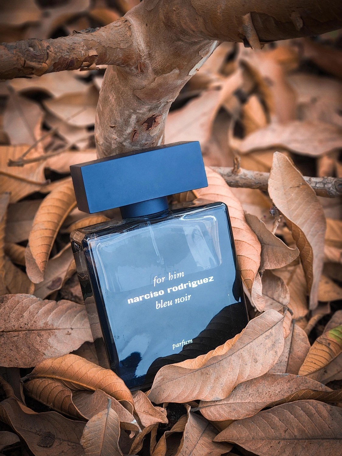 Narciso Rodriguez for Him Bleu Noir Parfum