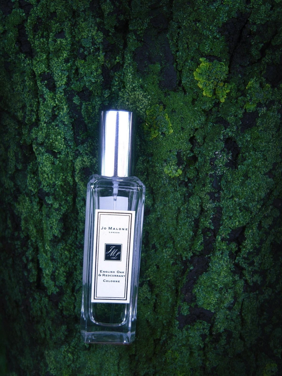 Jo Malone English Oak & Redcurrent