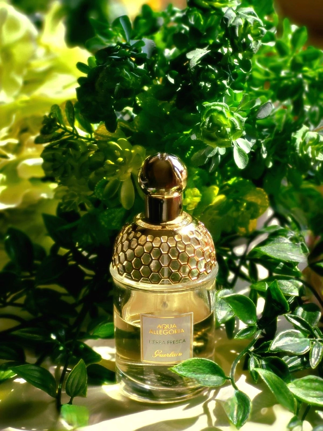 Guerlain Aqua Allegoria Herba Fresca